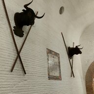 IMG20220618192121